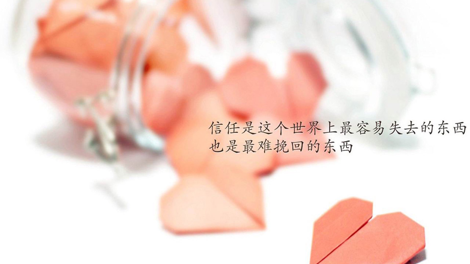 世界田径夜跑品牌授权合作条款与价格表公开,田径跑步项目世界纪录